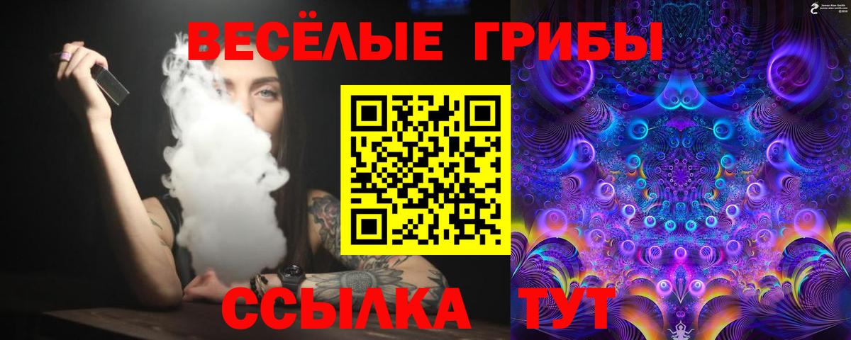 Междуреченск  Галлюциногенные грибы GOLDEN TEACHER  Вход с VPN 